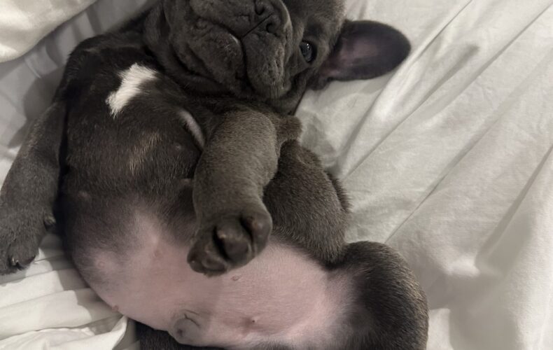 I’ve Fallen and I Can’t Get Up