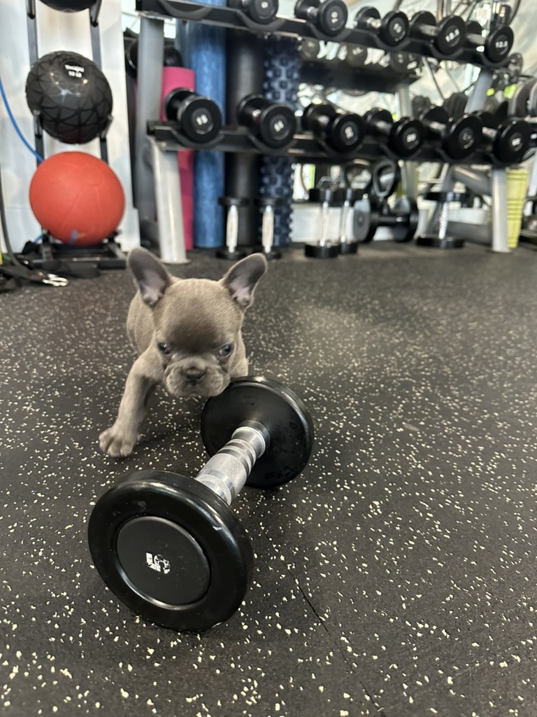 Strong is the New Skinny